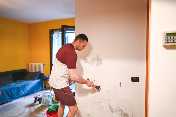 Best Toxic Mold Removal  in Slater Marietta, SC